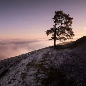 Artigo do blog Fraccaroli – teste 1